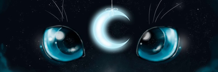 Elisa_Pierobon's profile banner image