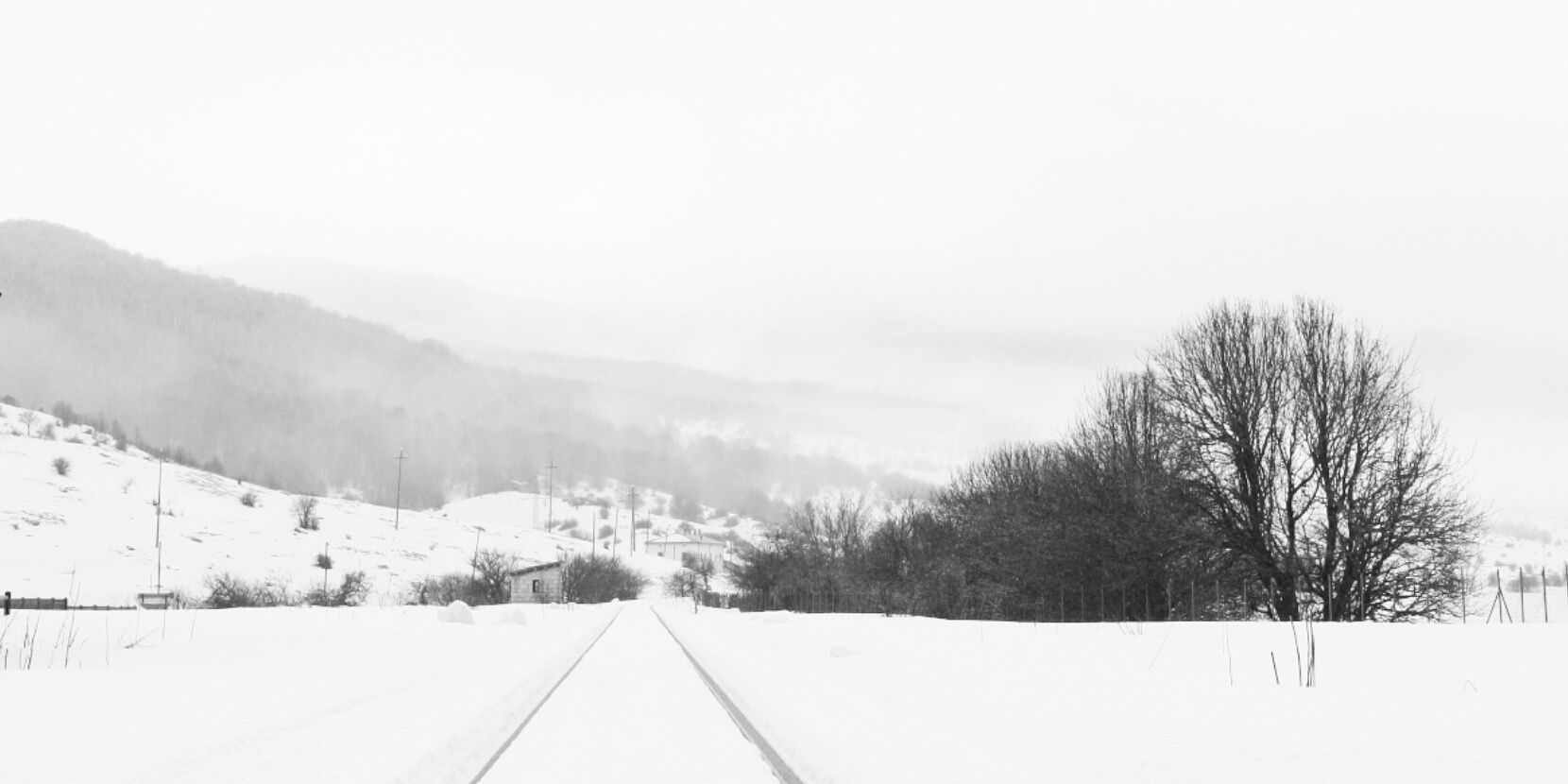 mariafantone's profile banner image