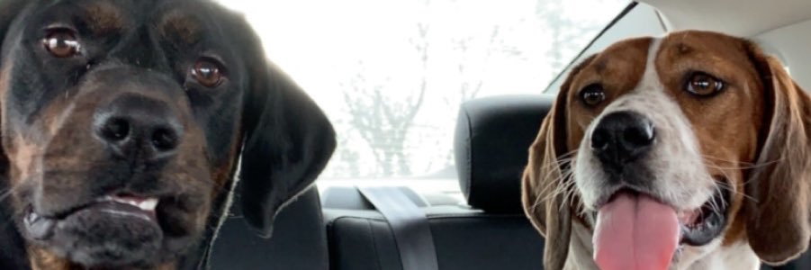 MVoeltz's profile banner image