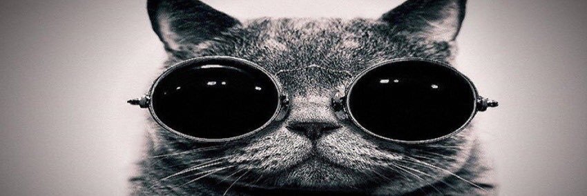 tolga12344's profile banner image
