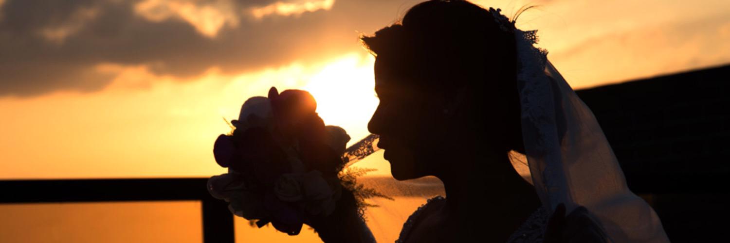 hgfoto's profile banner image