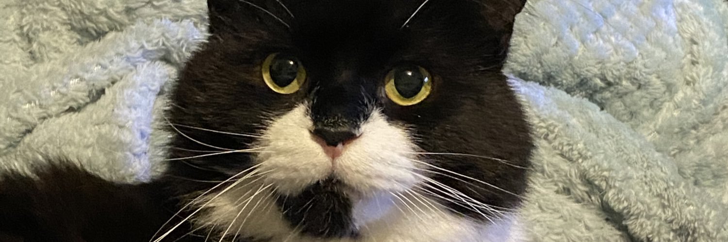 RandomKarnoffel's profile banner image