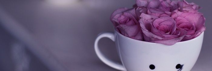 hind_20530's profile banner image