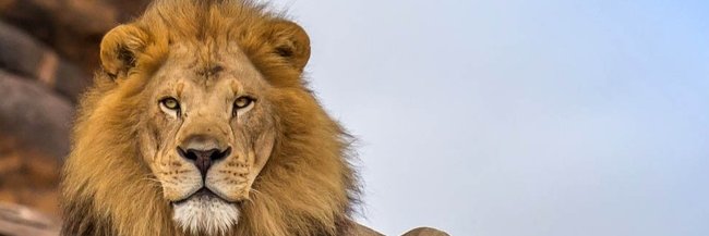 paidmodia's profile banner image