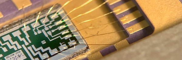 szeloof Profile Banner