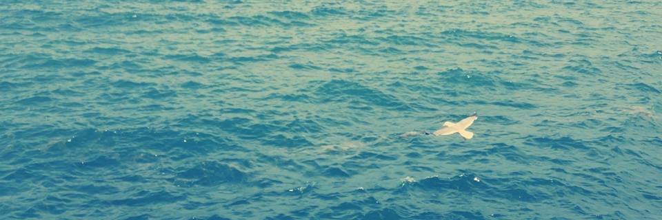 GulfidanAtik's profile banner image