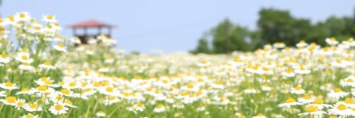 4Kamiyan's profile banner image