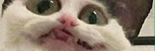 IsayPooPoo's profile banner image
