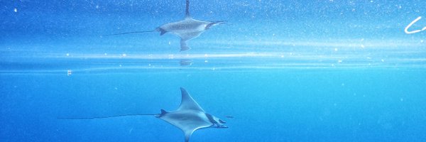 dirtybiology Profile Banner