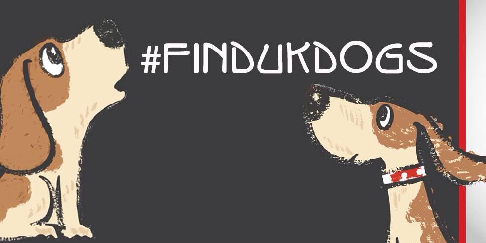 FindUkDogs banner