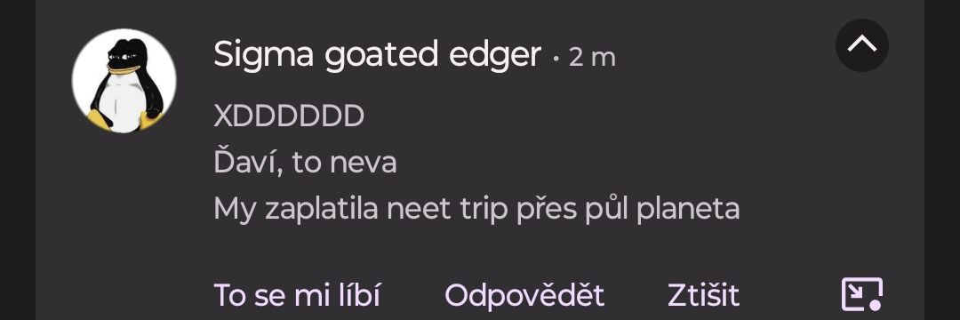 zrzavanula's profile banner image