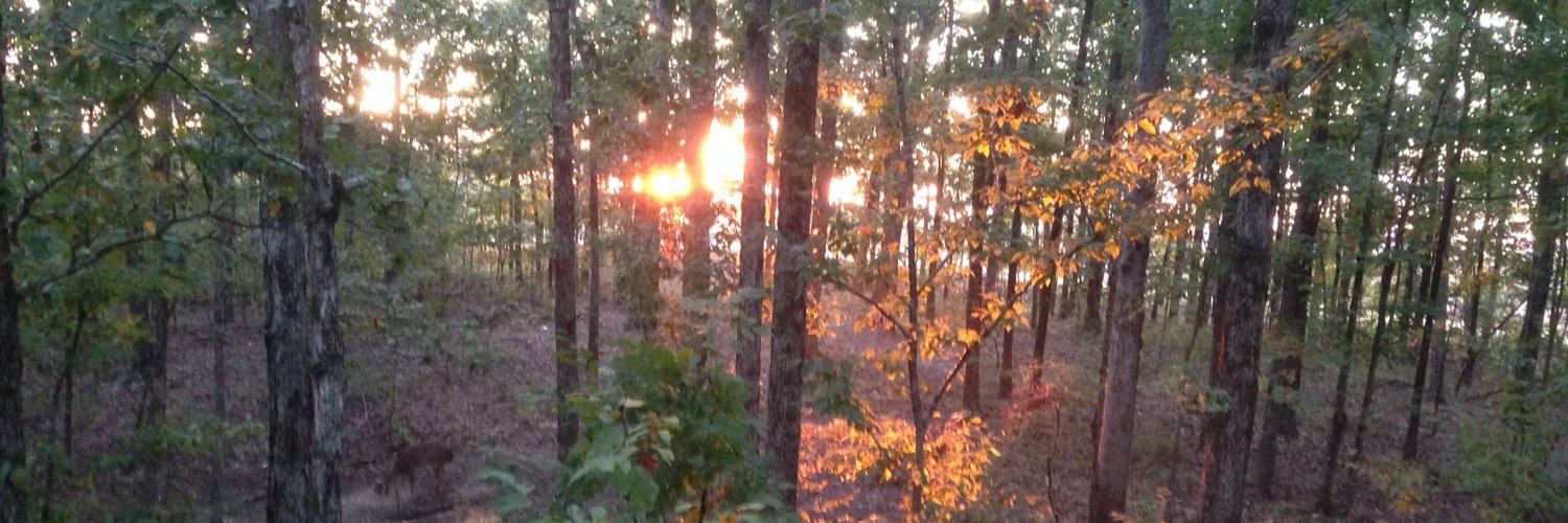 natstateoutdoor's profile banner image