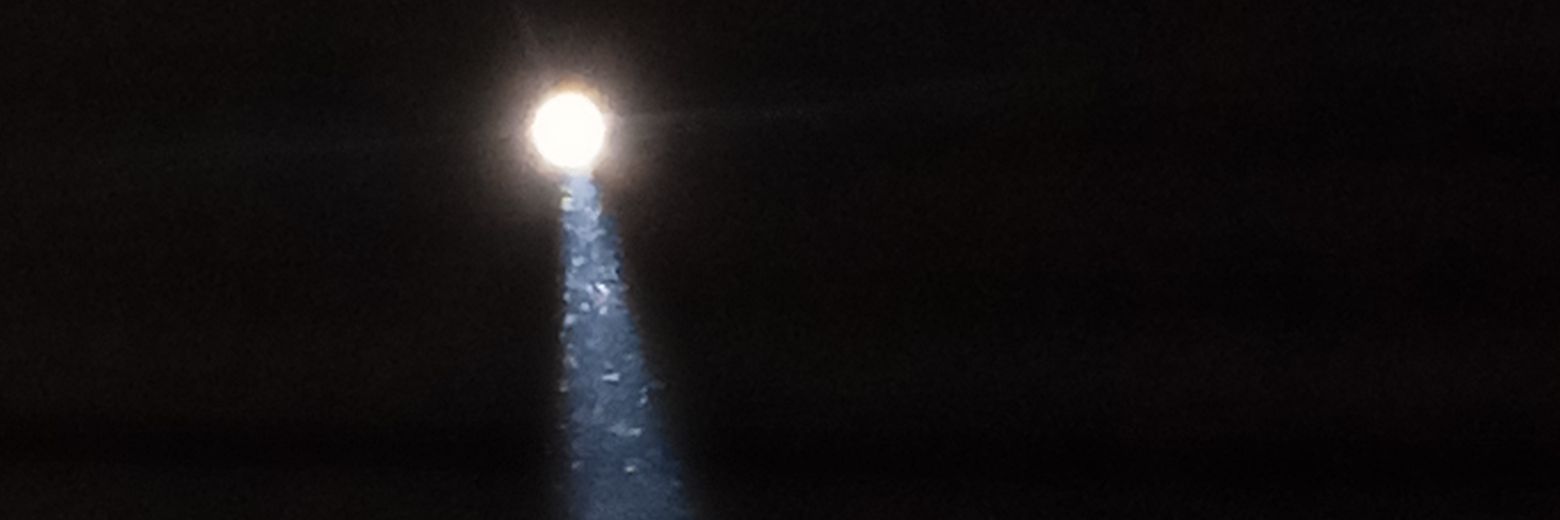 katxer_nomadic's profile banner image