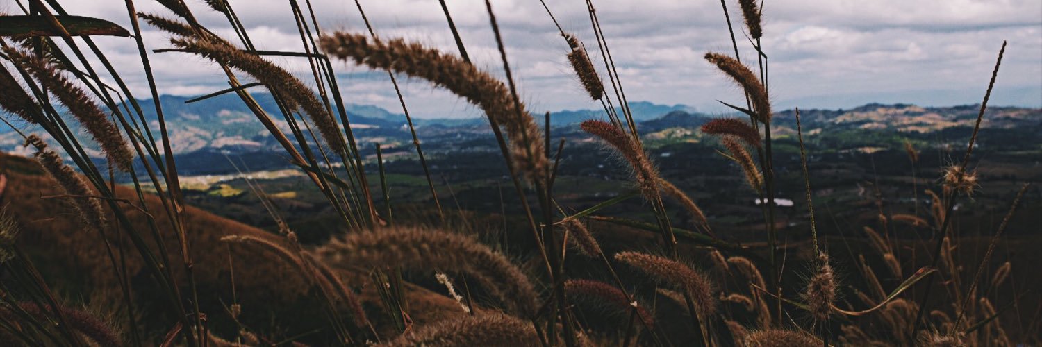 chdaztar's profile banner image