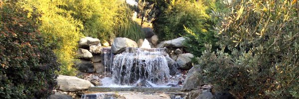 Sddann1 Profile Banner