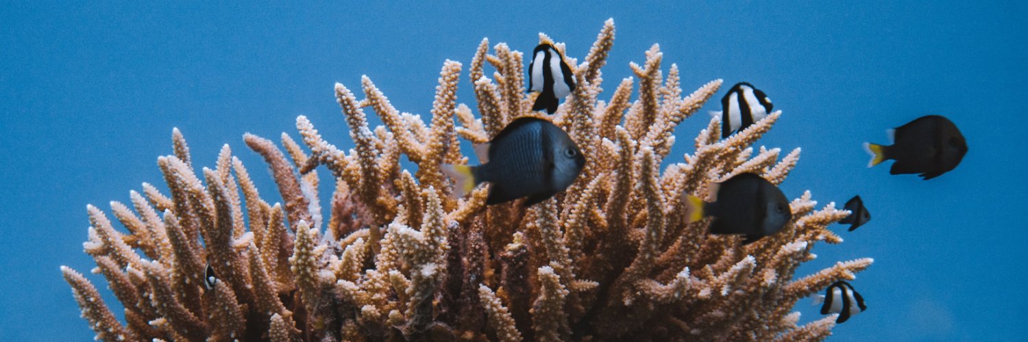 IocUnesco's profile banner image