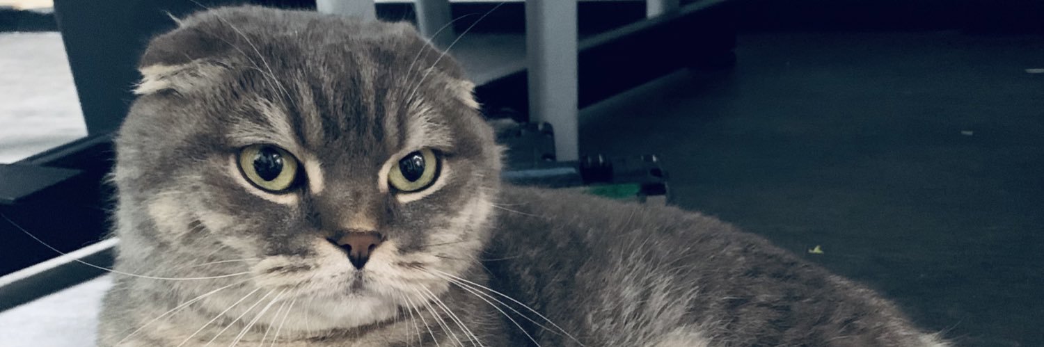 Rinbou23's profile banner image