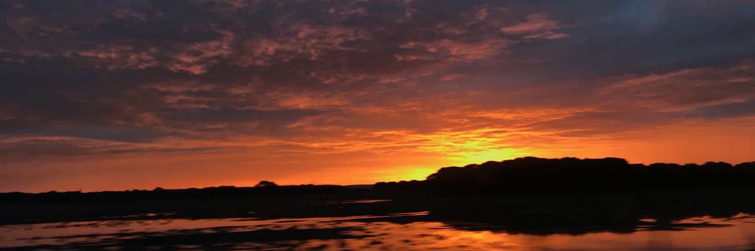 Alba González💃🏽 banner