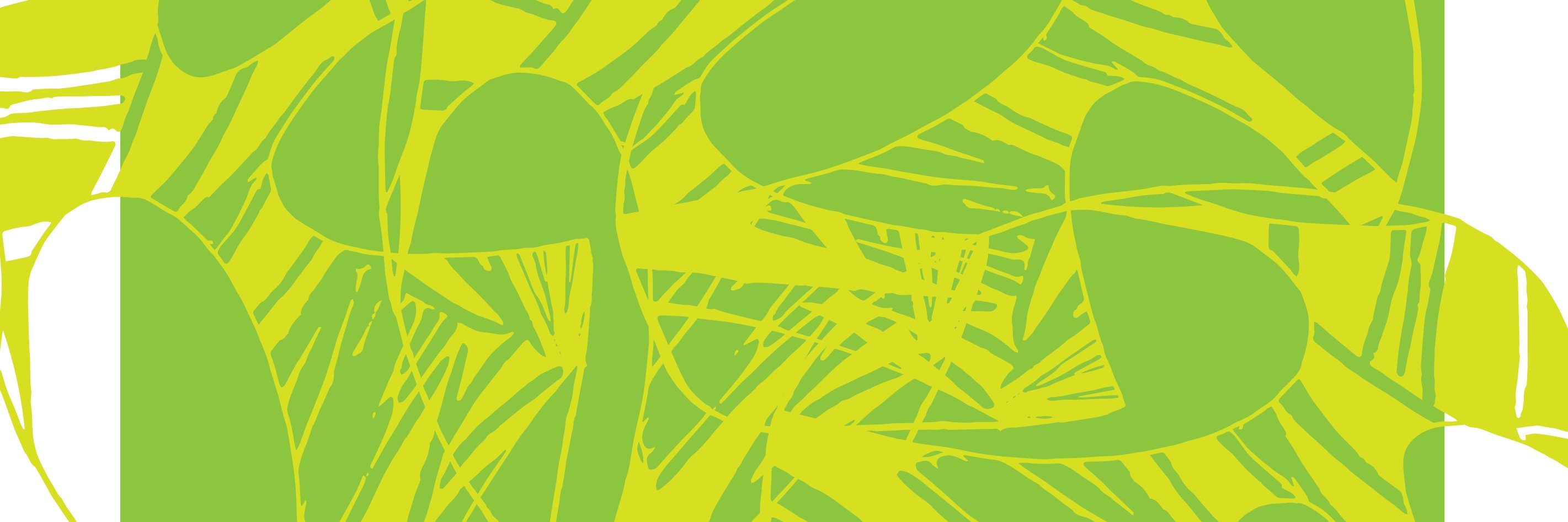 Spanish & Portuguese + Latin American Studies banner