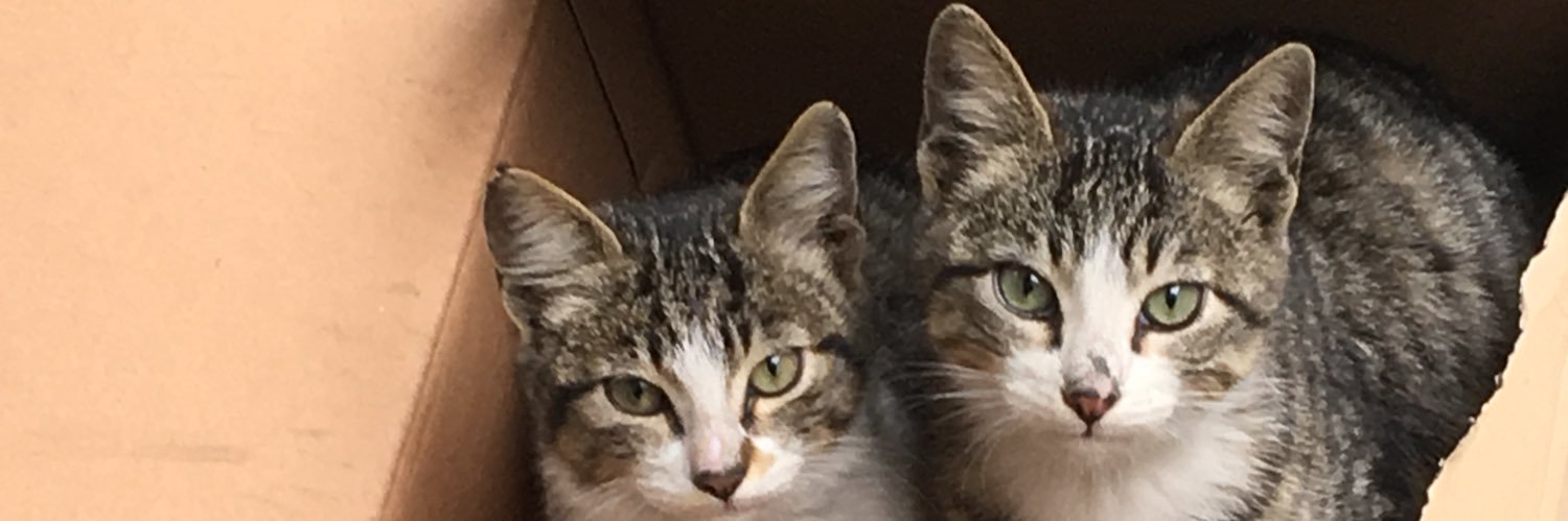 muratstone1's profile banner image