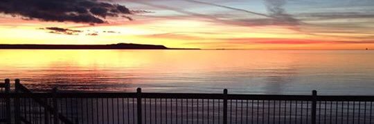 Annie Damignani banner