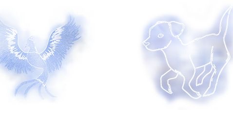 RolPatronum_EP's profile banner image