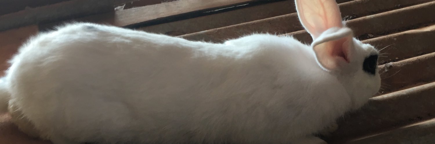 sergiomanaja1's profile banner image