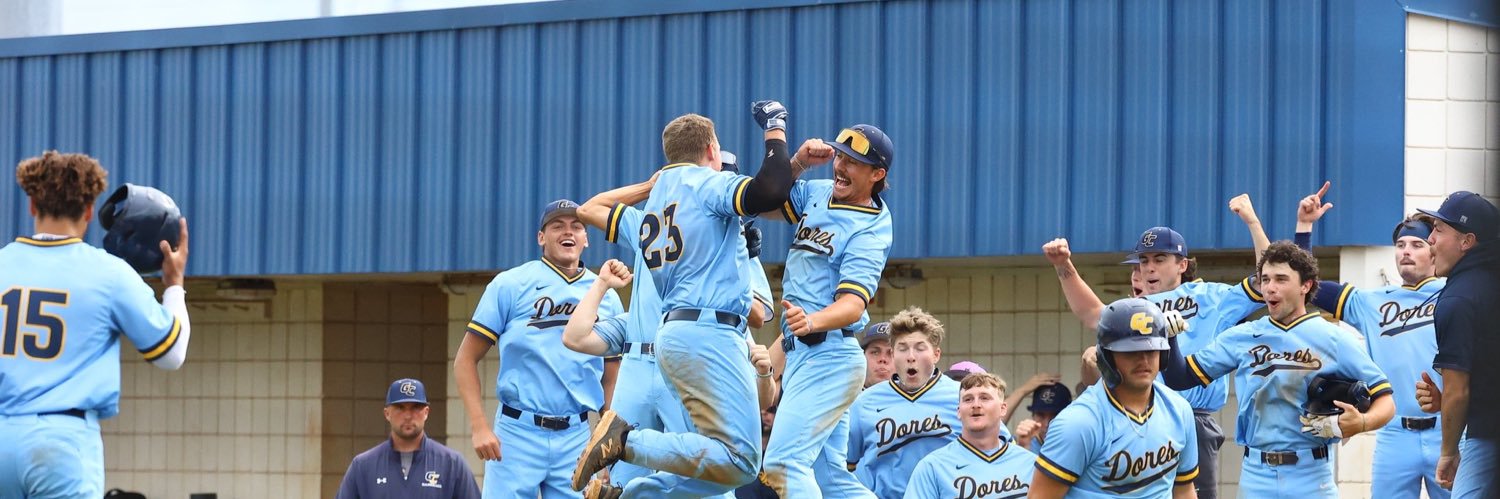Gulf Coast Baseball banner