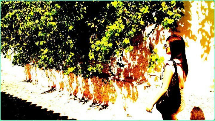 albitago's profile banner image