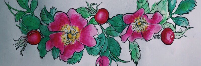 MaryMaryspigel's profile banner image