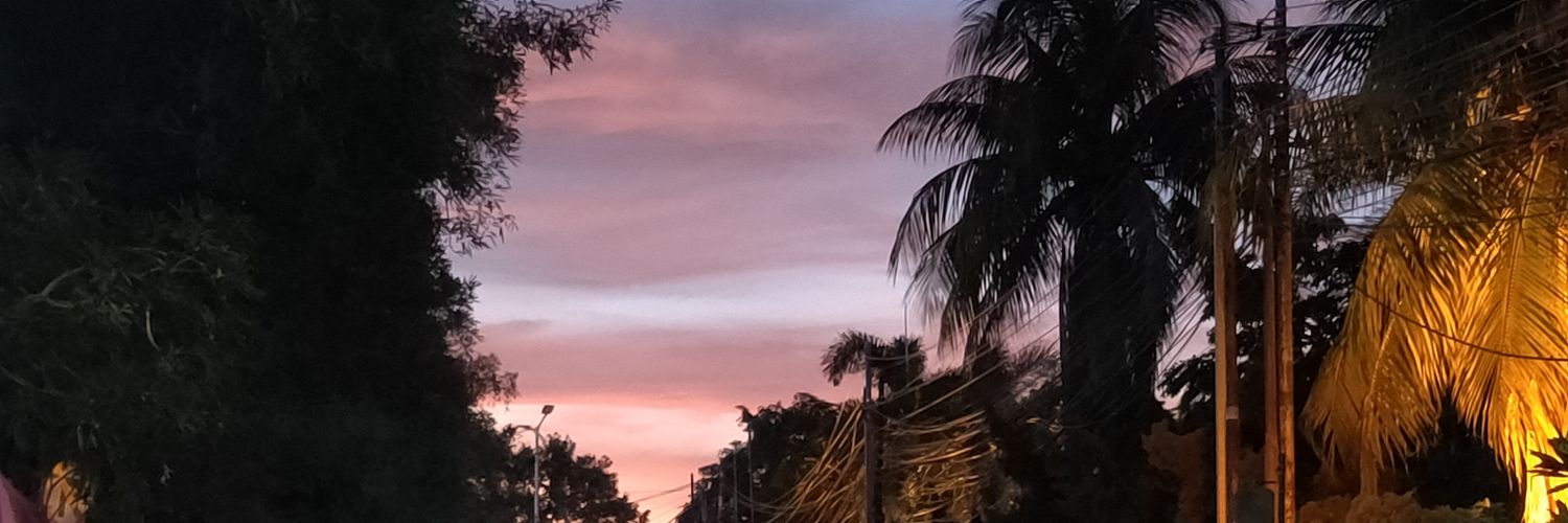 STSRio's profile banner image