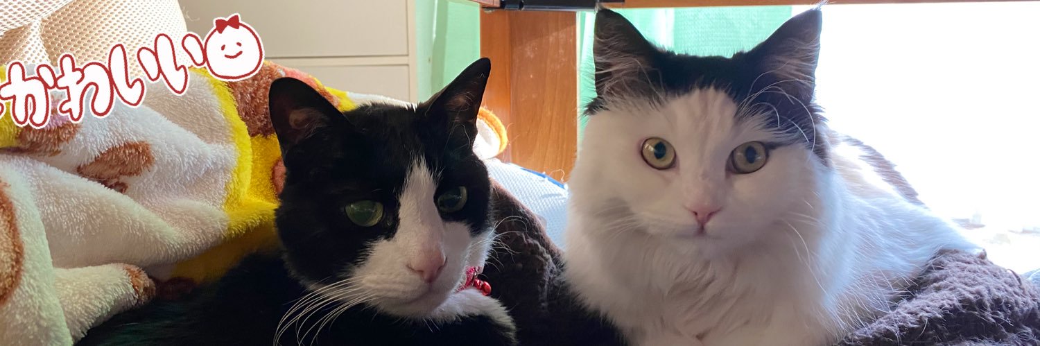 ゆう∩^ω^∩ banner