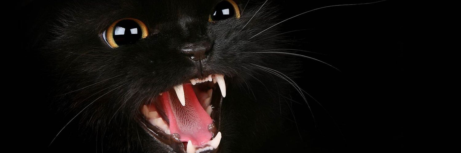 Ffernaandez's profile banner image