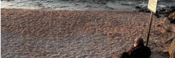 tomharrell Profile Banner