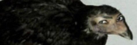 mathdavi's profile banner image