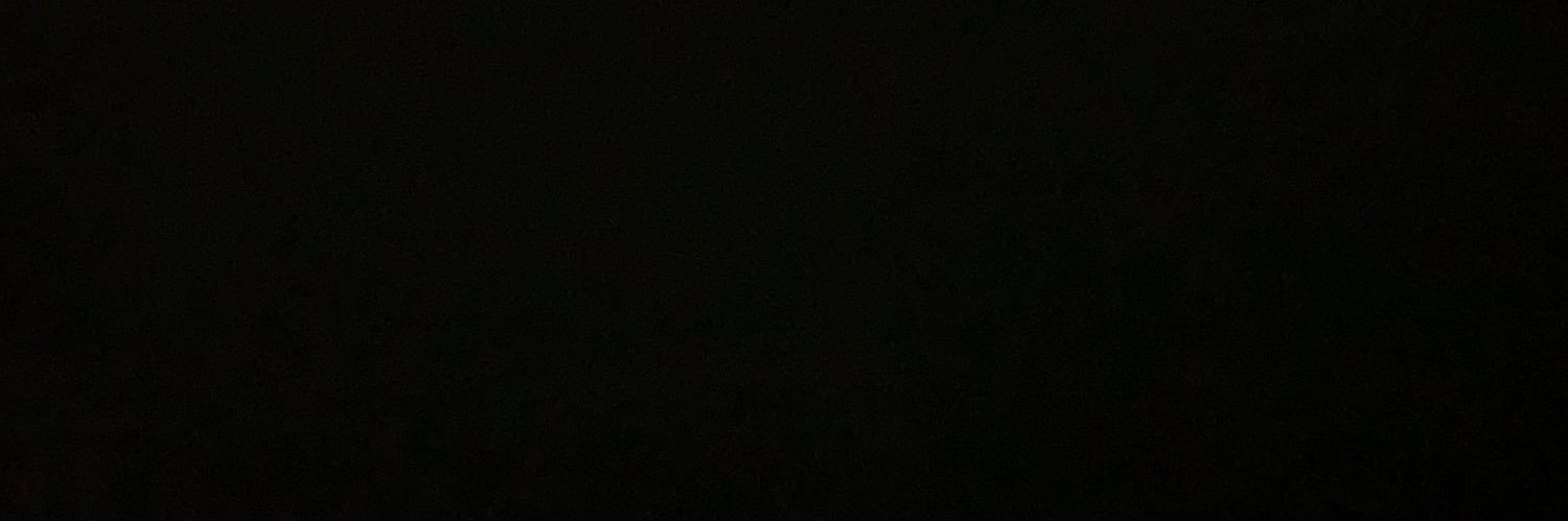 lilxtorrin's profile banner image