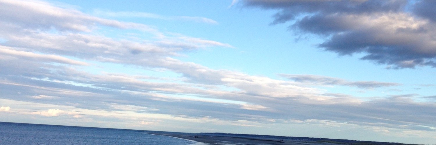 MollyClements16's profile banner image