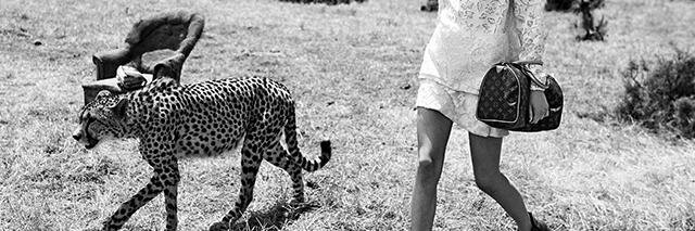 SpottedFashion's profile banner image