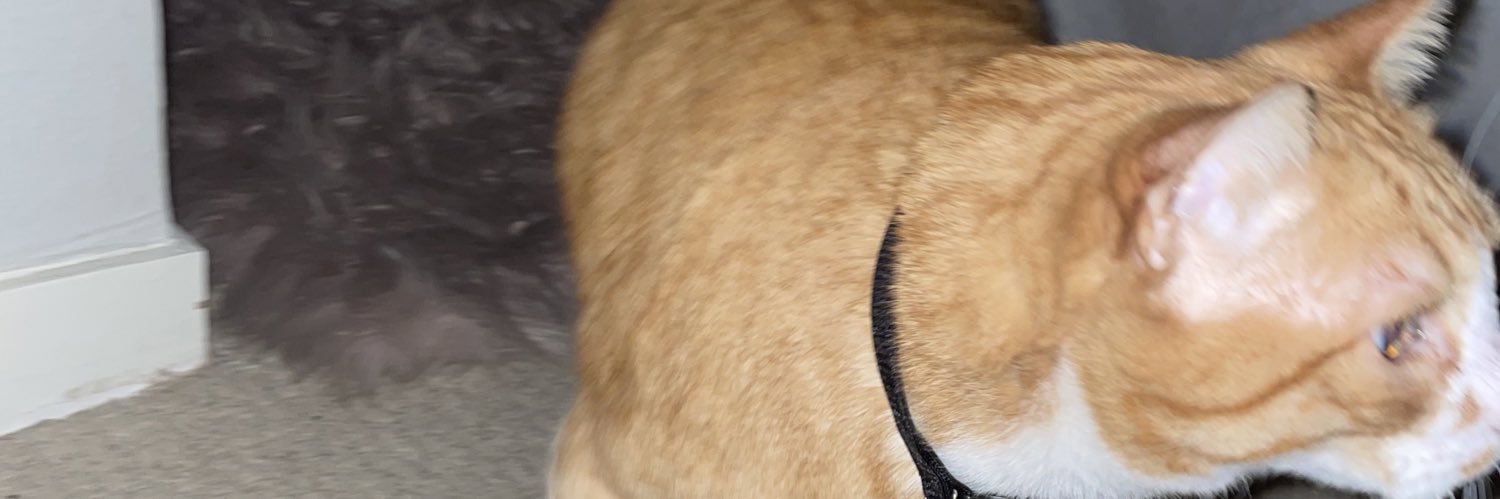 acbased's profile banner image