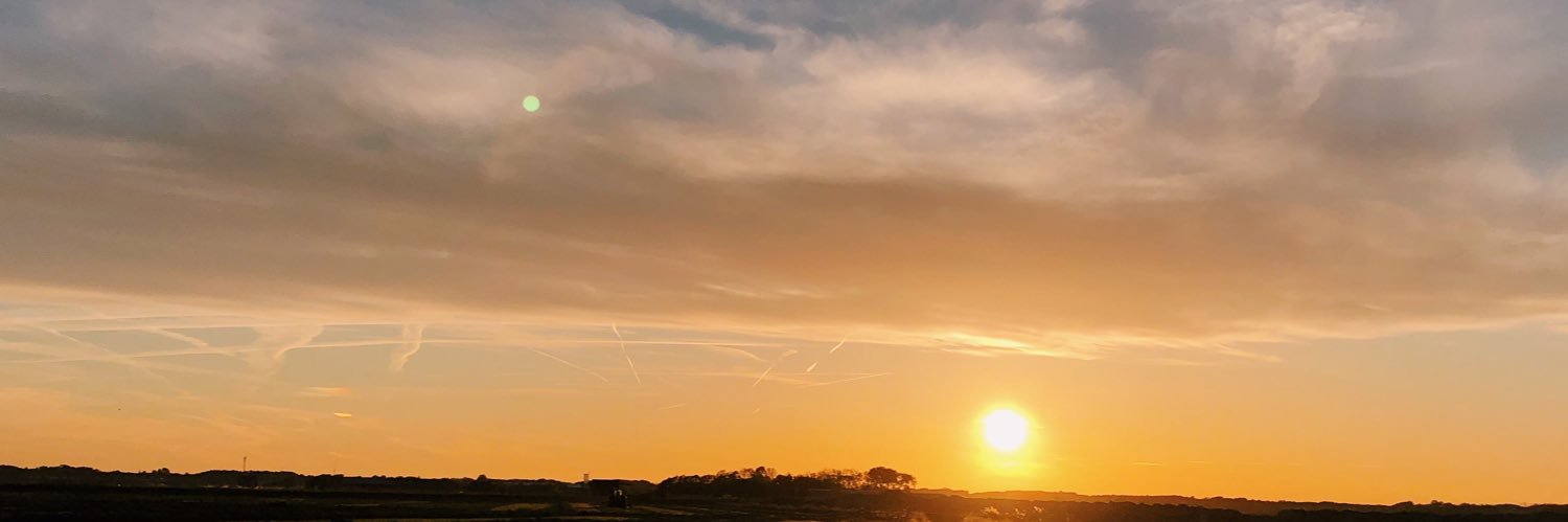 RBuddingh's profile banner image
