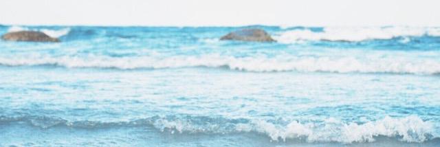 tonntonz's profile banner image