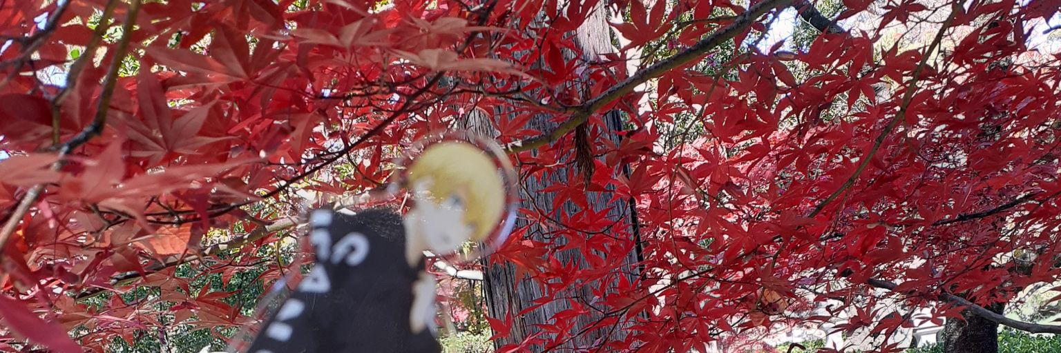 knkr_aun's profile banner image