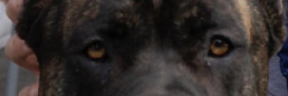 AROMUJ's profile banner image
