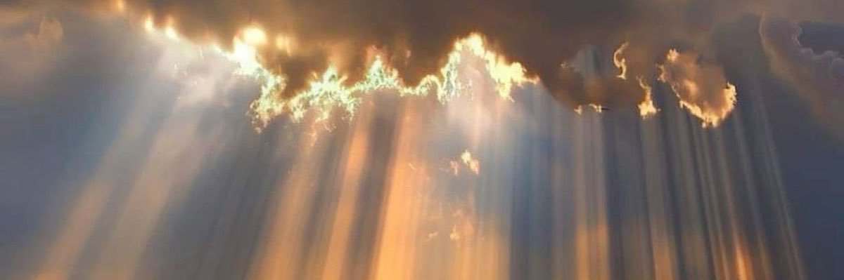 _peter_strings's profile banner image