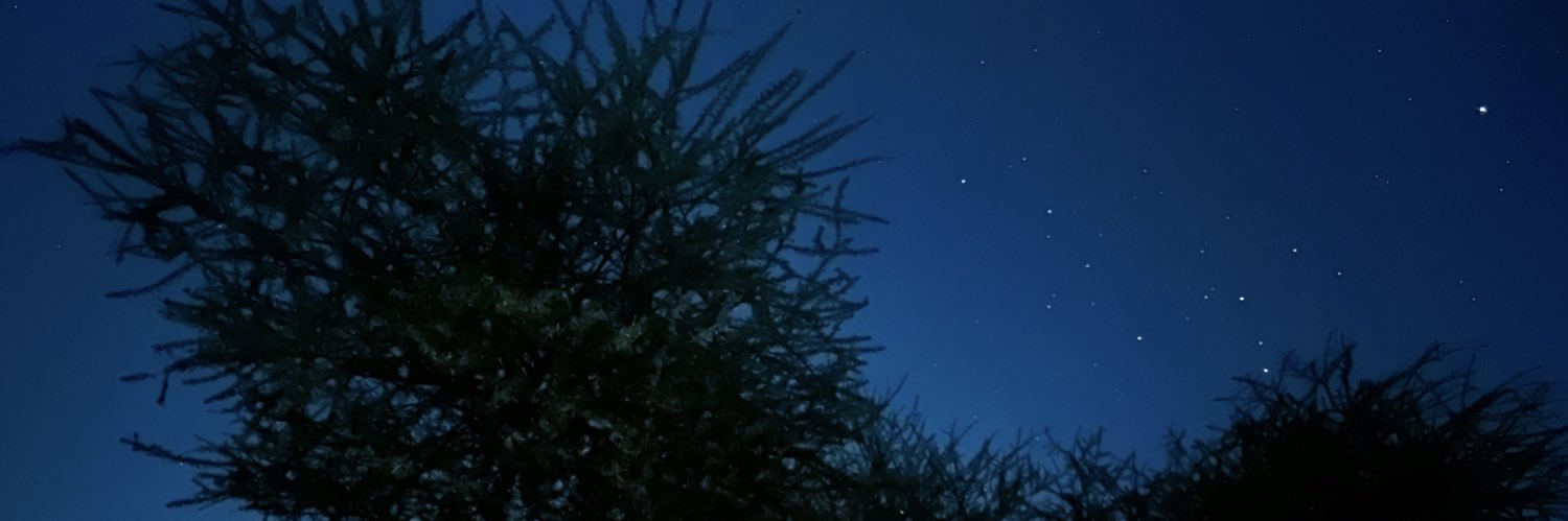 RY_390's profile banner image