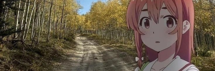 Mozt77's profile banner image