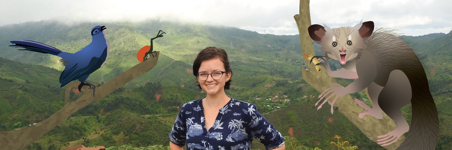 Karie Whitman banner