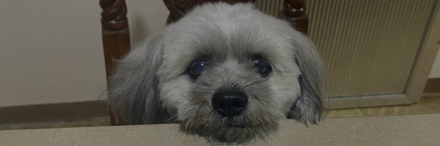 plnmei's profile banner image