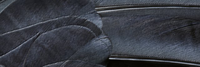 Hanru_Pretorius's profile banner image