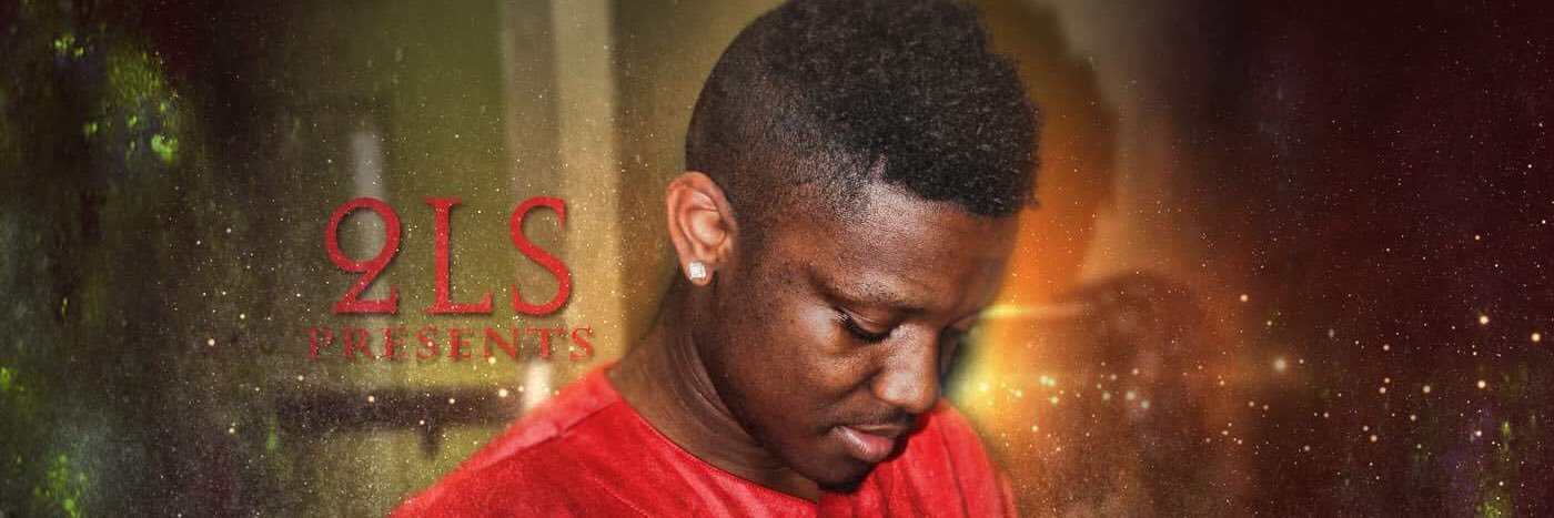 2lsz's profile banner image